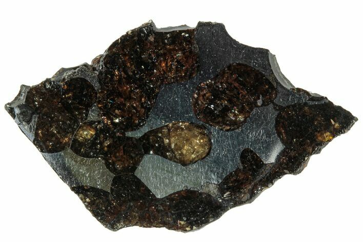 Polished Sericho Pallasite Meteorite ( g) Slice - Kenya #313700